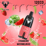 Kalyan 12000 Puffs Rechargeable Pod (5% Nicotine) | Premium Vapes shop UAE